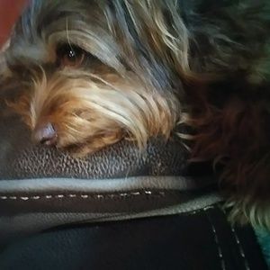 Meet your Posher, Marilyn